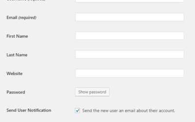 How To Add A New User In WordPress