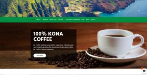 Custom E Commerce Platform Development Services