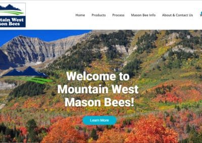 Mountain West Mason Bees