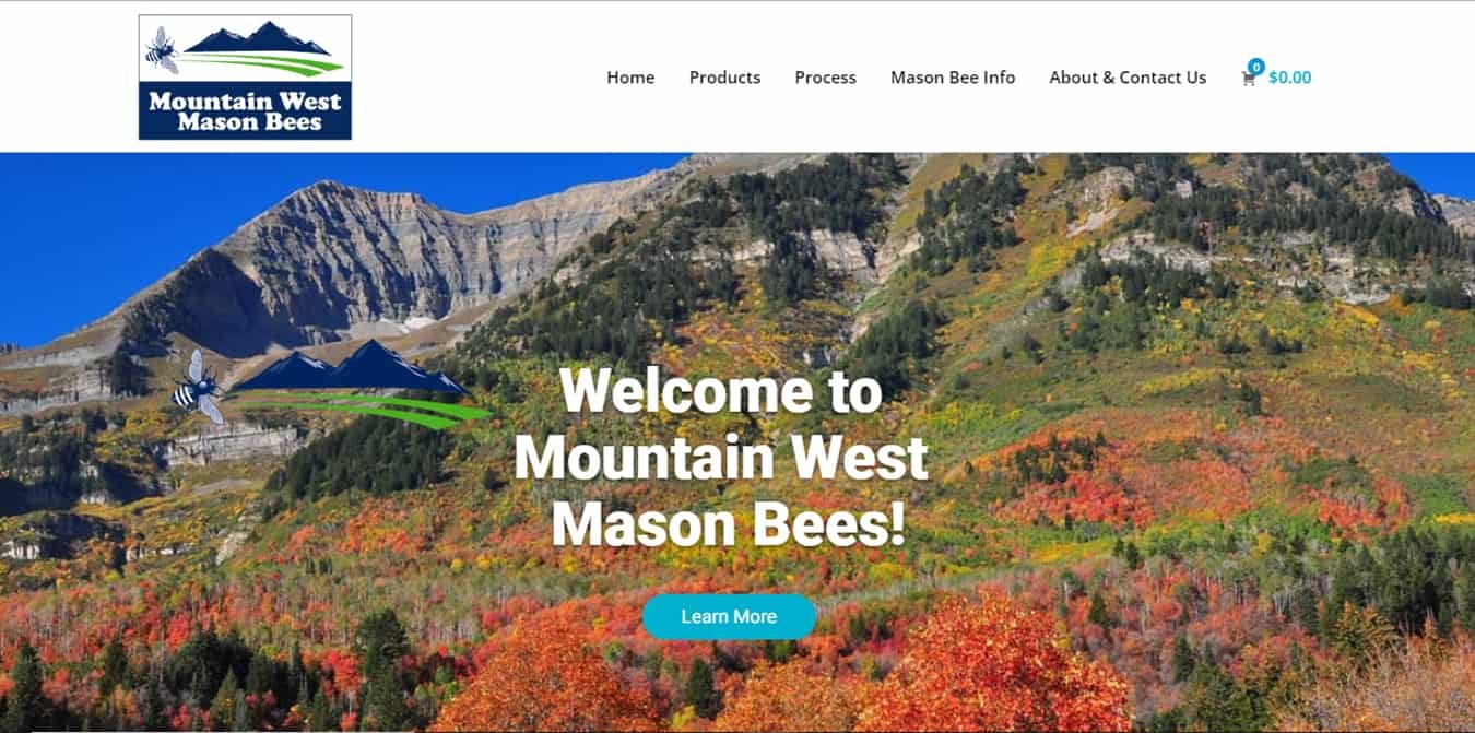 Mountain West Mason Bees