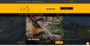 Experienced SEO Services for Better Website Ranking