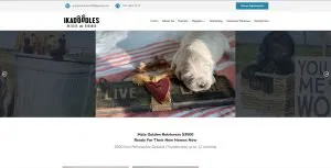 Custom Web Application Development Services